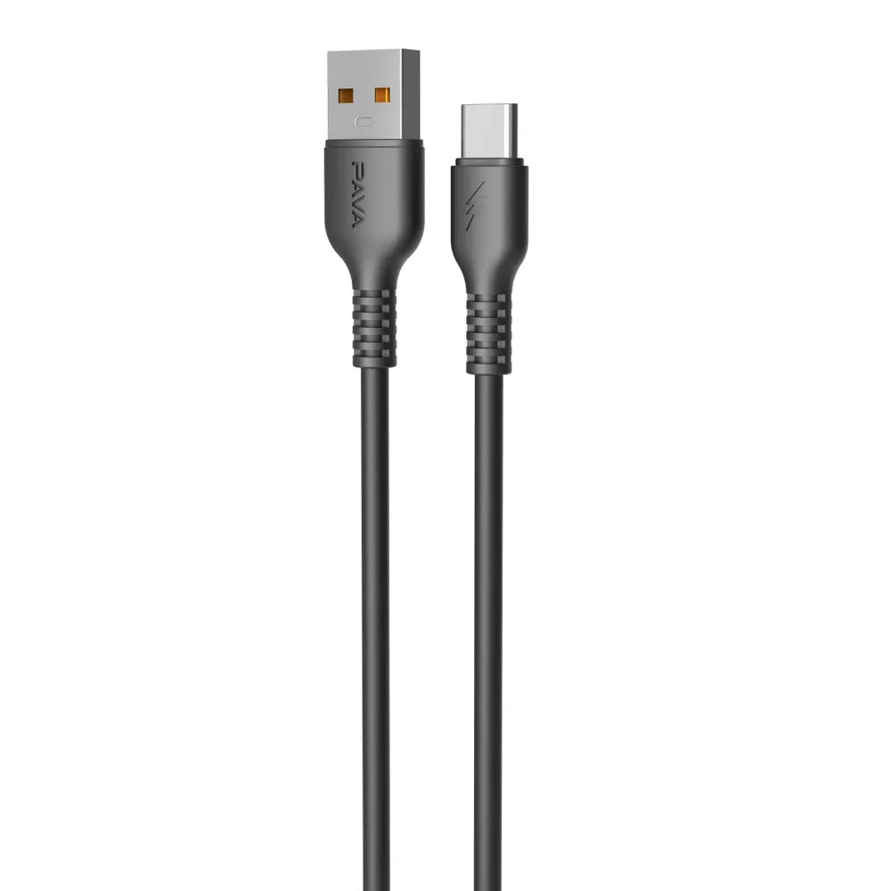 PAVAREAL USB to USB-C Cable (Black) - MIZO.at