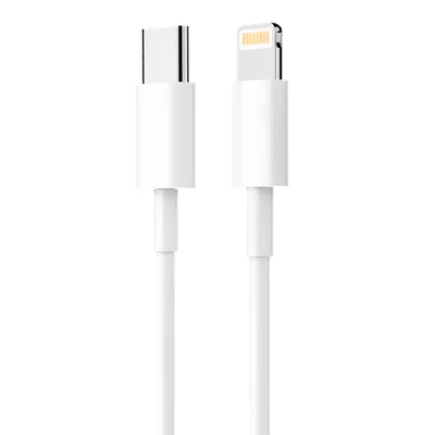 PAVAREAL Type C to Lightning Cable (White) - MIZO.at