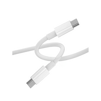 100W USB-C to USB-C Cable | Fast Charging, 1.2m, White - MIZO.at